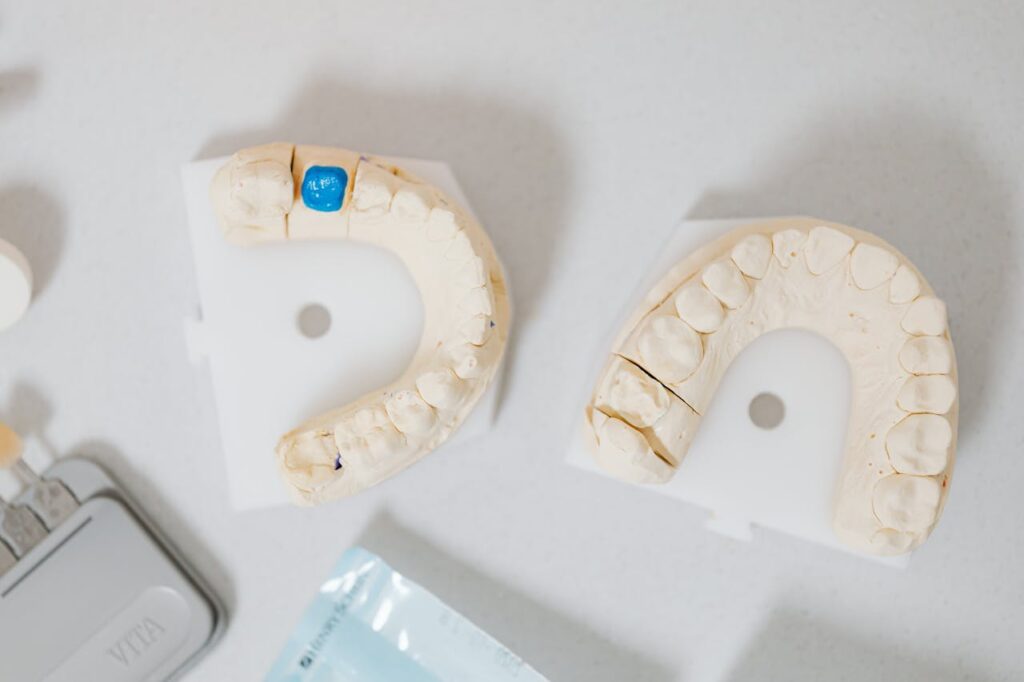 pexels-photo-6627601 Dental Teeth Cast Models on Table
